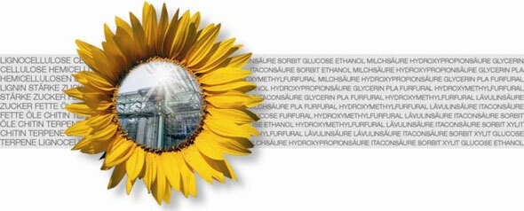 Bioraffinerie_Logo_klein